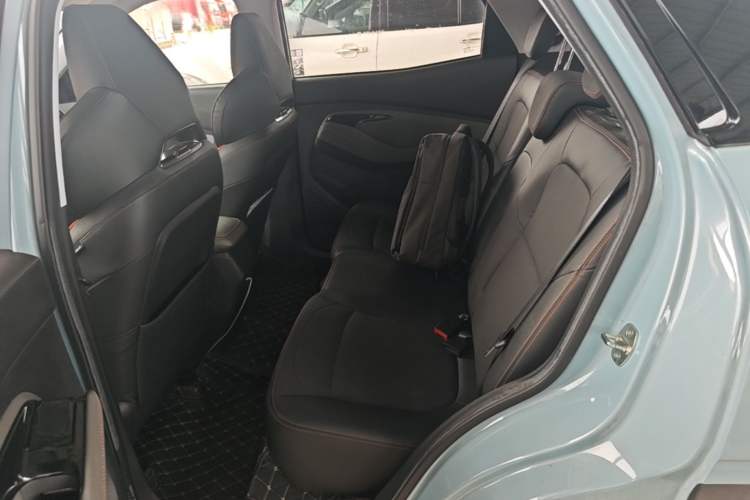 Used Baojun RS-3 2020 1.5L CVT Smart Luxury Edition Left Rear Seat