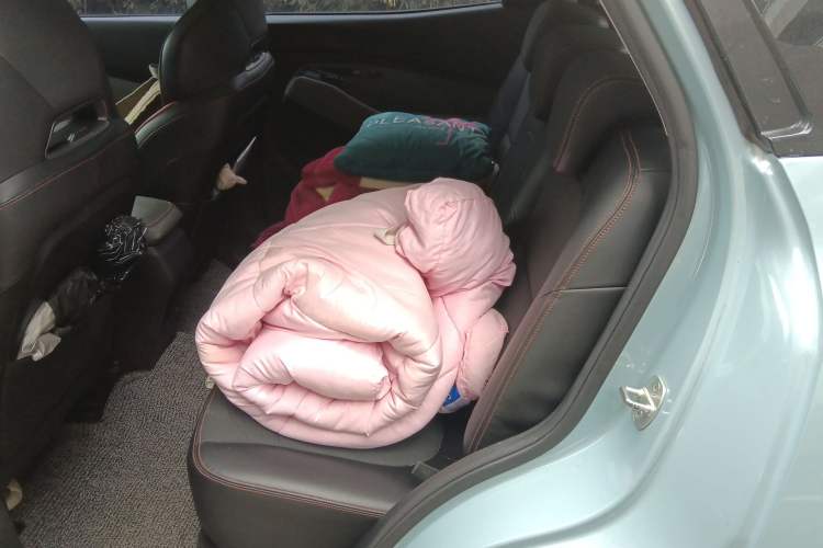 Used Baojun RS-3 2020 1.5L CVT Smart Luxury Edition Left Rear Seat