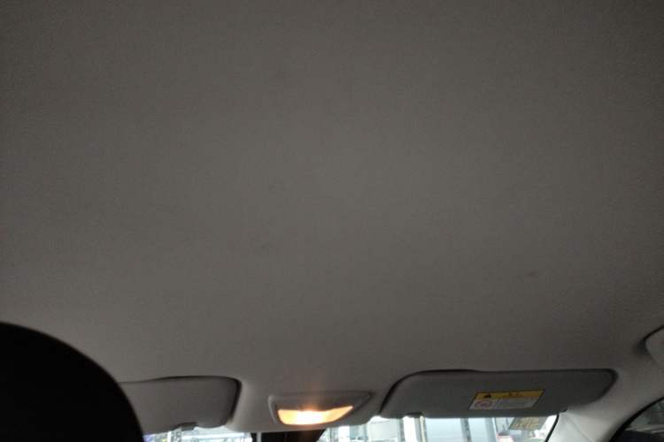 Used Baojun RS-3 2020 1.5T CVT Smart Elite Edition Headliner