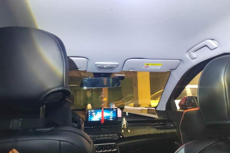 Used Baojun RS-3 2020 1.5L CVT Smart Elite Edition Headliner