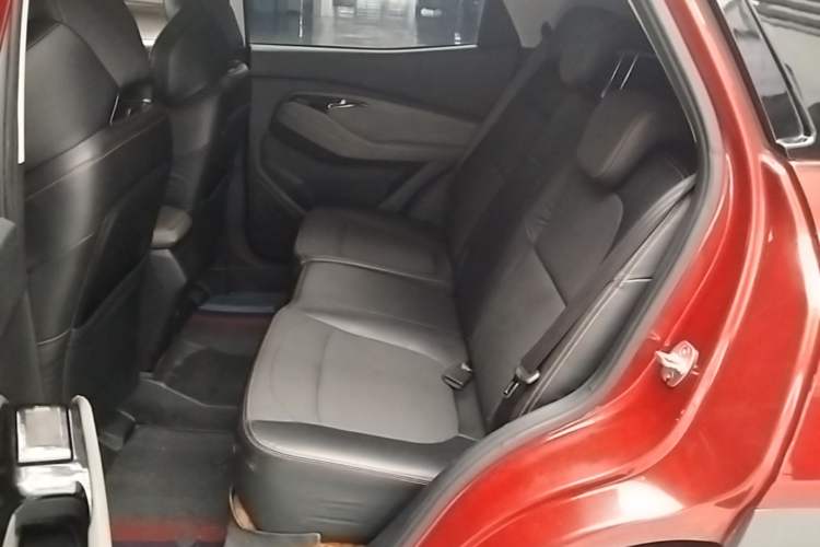 Used Baojun RS-3 2020 1.5L CVT Smart Luxury Edition Left Rear Seat