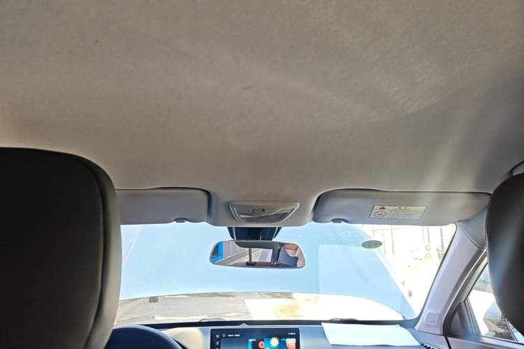 Used Baojun RS-3 2020 1.5L Manual Smart Elite Edition Headliner