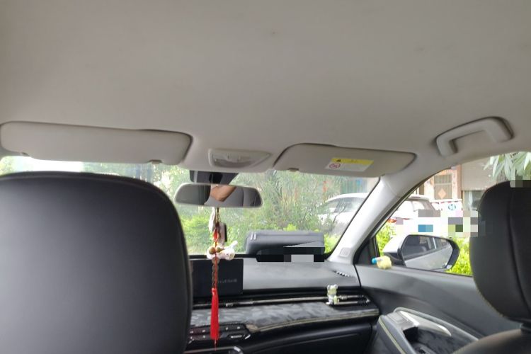 Used Baojun RS-3 2020 1.5L CVT Smart Elite Edition Headliner