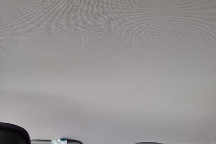 Used Baojun RS-3 2020 1.5L Manual Smart Elite Edition Headliner