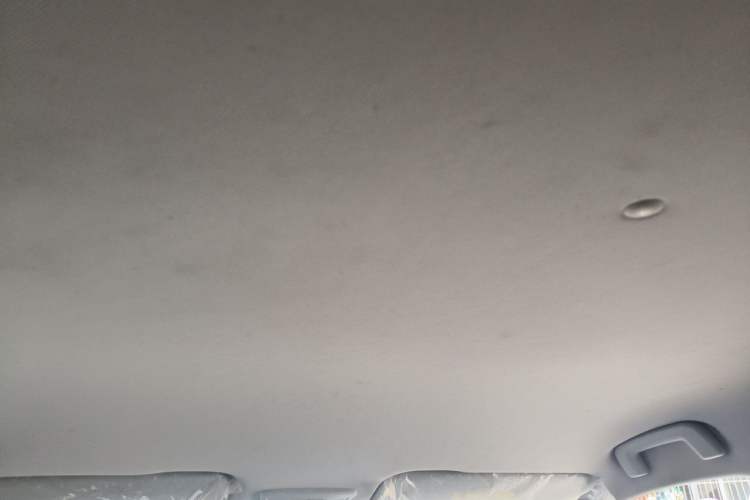 Used Baojun RS-3 2020 1.5L Manual Smart Elite Edition Headliner