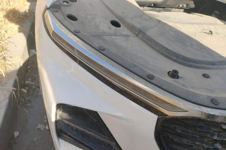 Used Baojun RS-3 2020 1.5T CVT Intelligent Prestige Edition Exterior 6