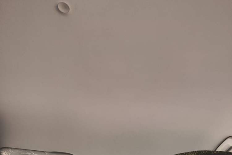 Used Baojun RS-3 2020 1.5L Manual Smart Elite Edition Headliner