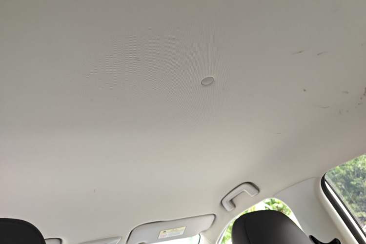 Used Baojun RS-3 2020 1.5L CVT Smart Elite Edition Headliner
