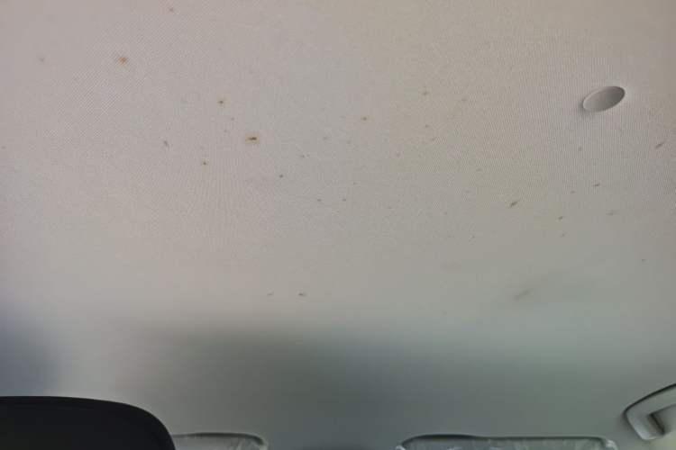 Used Baojun RS-3 2020 1.5L Manual Smart Elite Edition Headliner