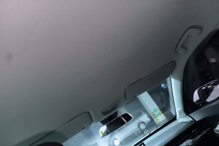 Used Baojun RS-3 2020 1.5T CVT Smart Elite Edition Headliner