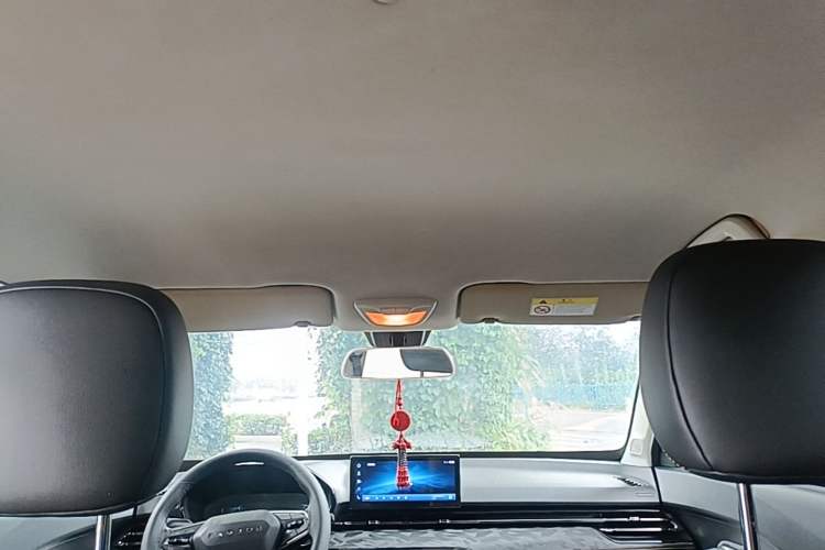 Used Baojun RS-3 2020 1.5T CVT Smart Elite Edition Headliner