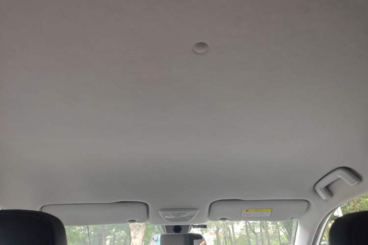 Used Baojun RS-3 2020 1.5L CVT Smart Elite Edition Headliner