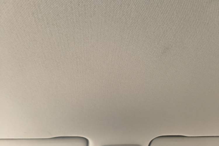 Used Baojun RS-3 2020 1.5L Manual Smart Comfort Edition Headliner