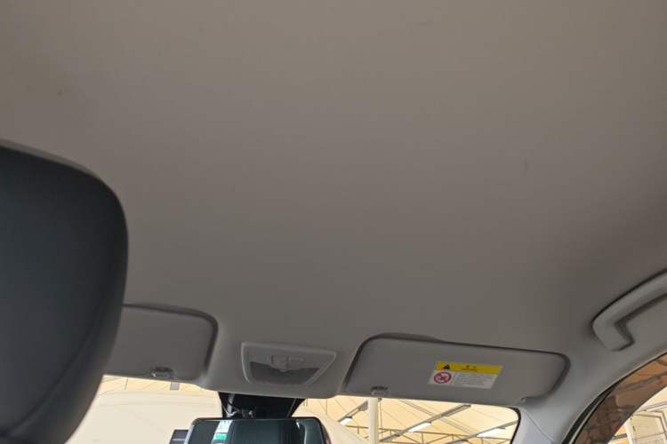 Used Baojun RS-3 2020 1.5L CVT Smart Elite Edition Headliner