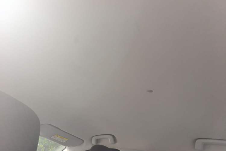 Used Baojun RS-3 2020 1.5L CVT Smart Elite Edition Headliner