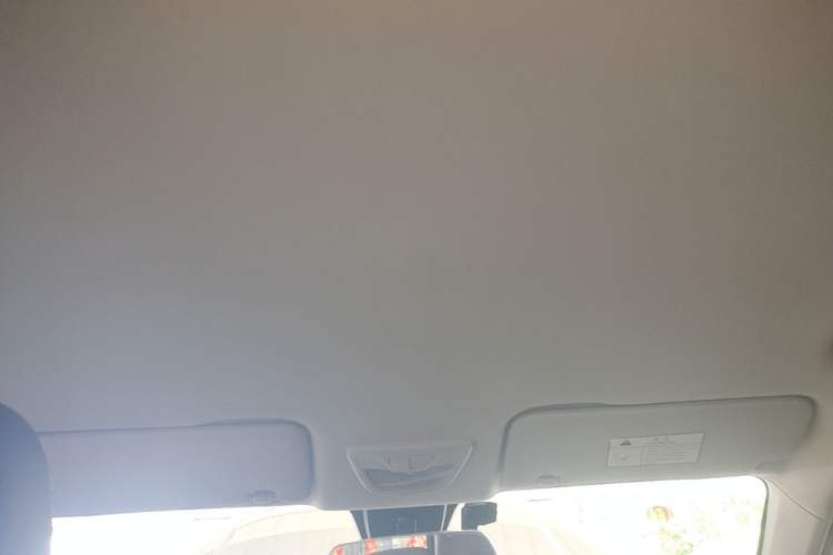 Used Baojun RS-3 2020 1.5L Manual Smart Elite Edition Headliner