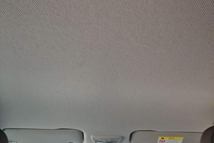 Used Baojun RS-3 2020 1.5L Manual Smart Comfort Edition Headliner