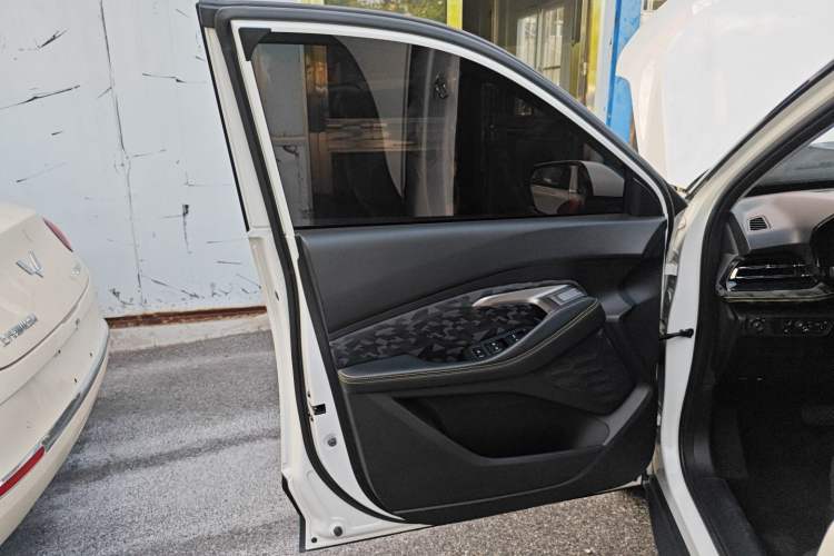 Used Baojun RS-3 2020 1.5L CVT Smart Elite Edition Left Front Door Interior