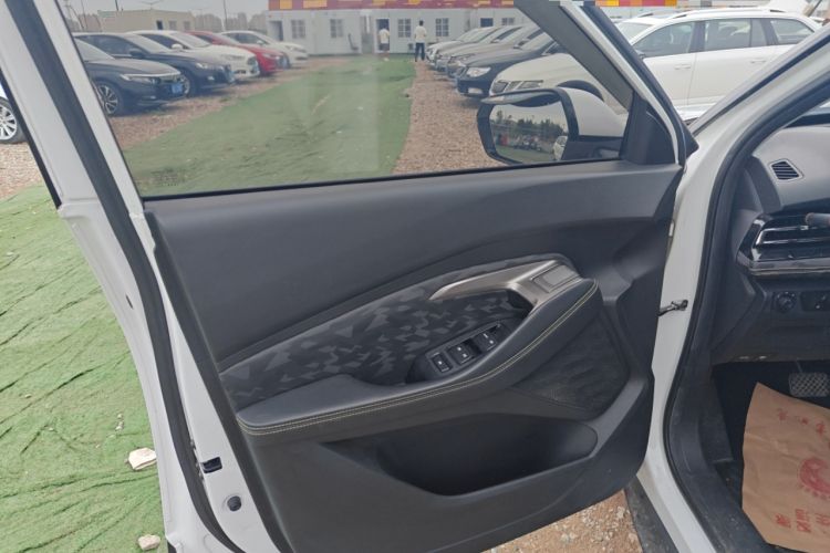 Used Baojun RS-3 2020 1.5L CVT Smart Elite Edition Left Front Door Interior