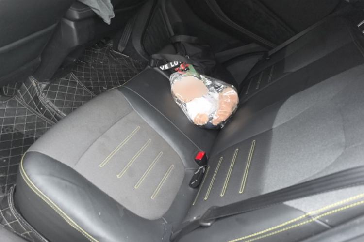 Used Baojun RS-3 2020 1.5T CVT Smart Elite Edition Left Rear Seat