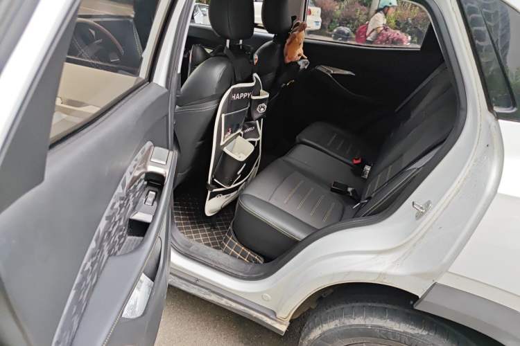 Used Baojun RS-3 2020 1.5L CVT Smart Elite Edition Left Rear Seat