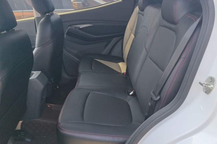 Used Baojun RS-3 2020 1.5L Manual Smart Comfort Edition Left Rear Seat