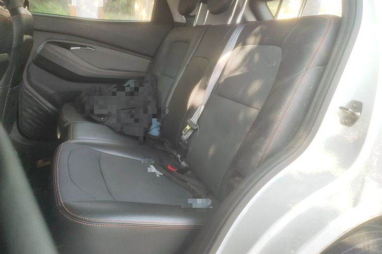 Used Baojun RS-3 2020 1.5T CVT Smart Luxury Edition Left Rear Seat