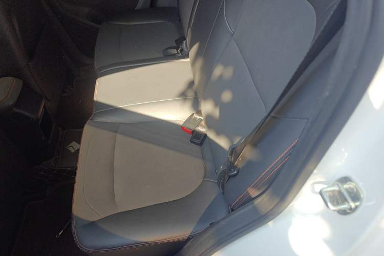 Used Baojun RS-3 2020 1.5L CVT Smart Luxury Edition Left Rear Seat