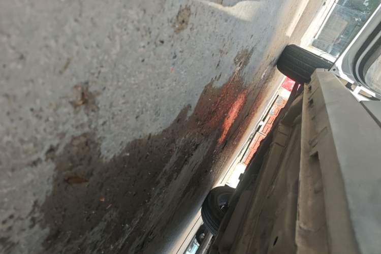 Used Baojun RS-3 2020 1.5L Manual Elite Version with 24-Hour Online Service Left Side Sill