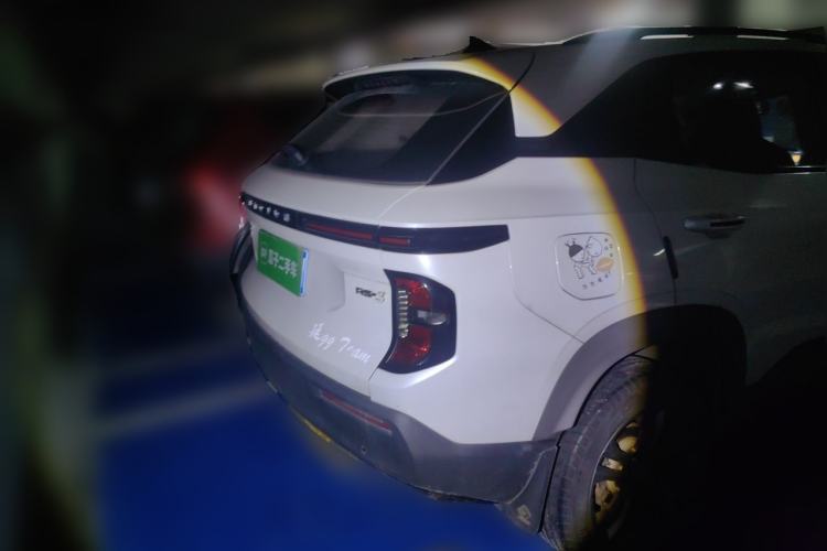 Used Baojun RS-3 2020 1.5L Manual Smart Luxury Edition Rear