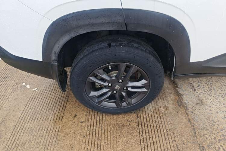 Used Baojun RS-3 2020 1.5L CVT 24-Hour Online Luxury Edition Right Rear Wheel Hub