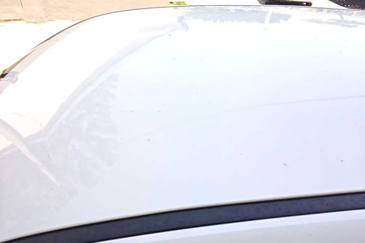Used Baojun RS-3 2020 1.5L Manual Smart Comfort Edition Roof
