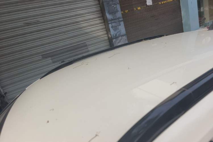 Used Baojun RS-3 2020 1.5L CVT Smart Elite Edition Roof