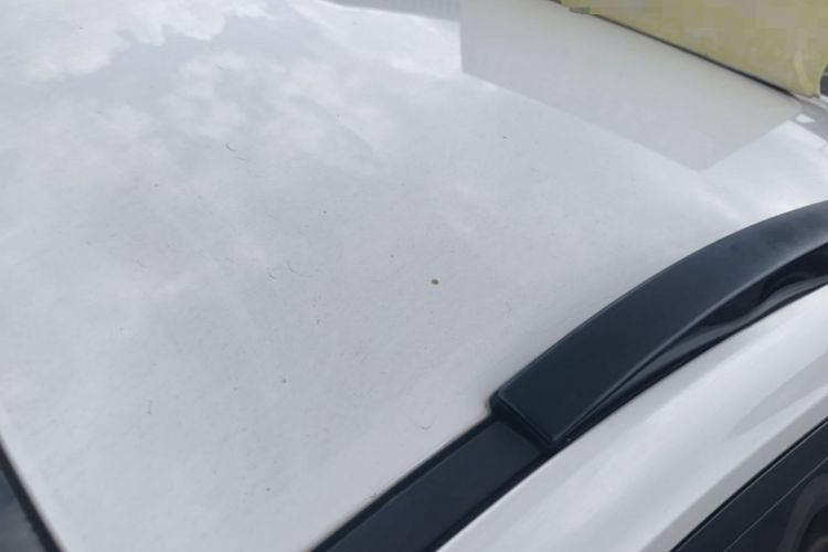 Used Baojun RS-3 2020 1.5L CVT Elite Version with 24-Hour Online Service Roof