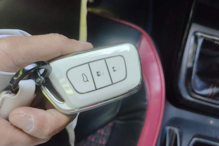 Used Baojun RS-3 2020 1.5L Manual 24-Hour Online Luxury Version Vehicle Key