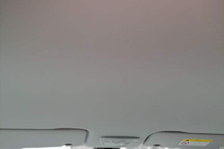 Used Baojun RS-3 2022 SOODA 1.5T CVT Master Edition Headliner
