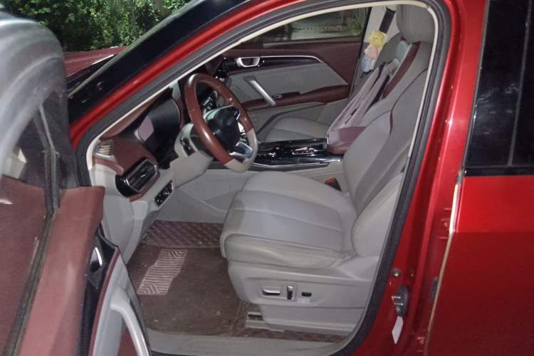Used Baojun RS-5 2019 1.5T CVT Intelligent Driving Flagship Edition China V Emission Standard Left Front Seat