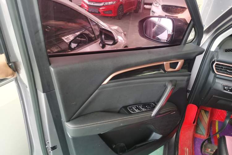 Used Baojun RS-5 2019 1.5T CVT Intelligent Driving Luxury Edition China V Left Front Door Interior
