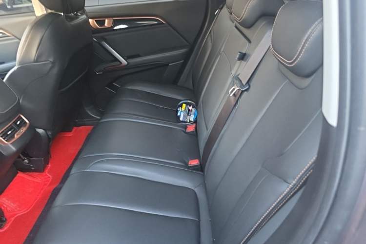 Used Baojun RS-5 2019 1.5T CVT Intelligent Driving Luxury Edition China V Left Rear Seat