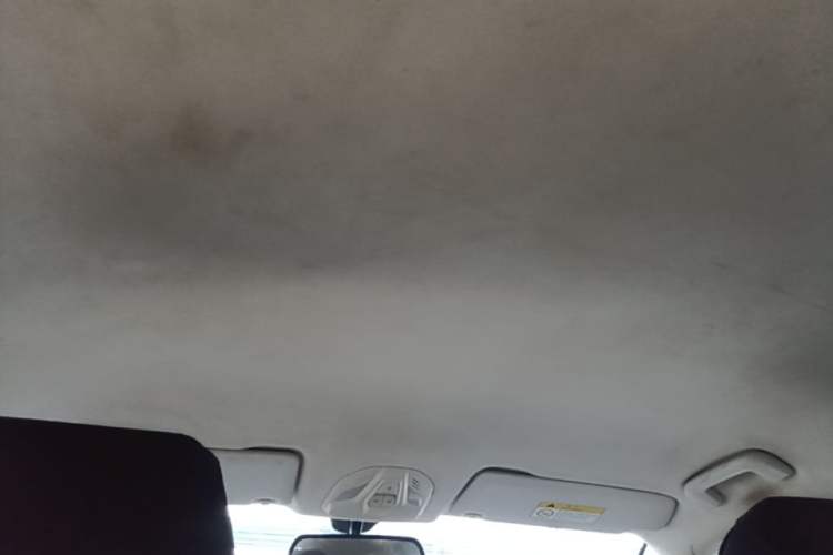 Used Baojun RS-5 2019 1.5T CVT Super-Connected Trendy Edition China V Standard Headliner
