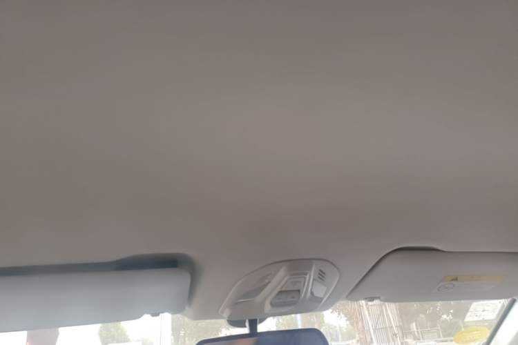 Used Baojun RS-5 2019 1.5T CVT Super Connected Trendy Edition China VI Headliner