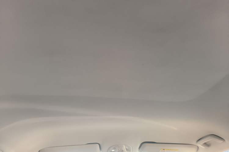 Used Baojun RS-5 2019 1.5T Manual Super Connected Luxury Edition China VI Headliner