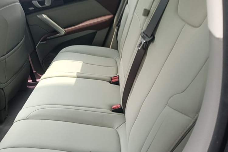 Used Baojun RS-5 2019 1.5T CVT Intelligent Driving Flagship Edition China V Emission Standard Left Rear Seat