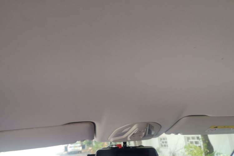 Used Baojun RS-5 2019 1.5T CVT Super Connected Trendy Edition China VI Headliner
