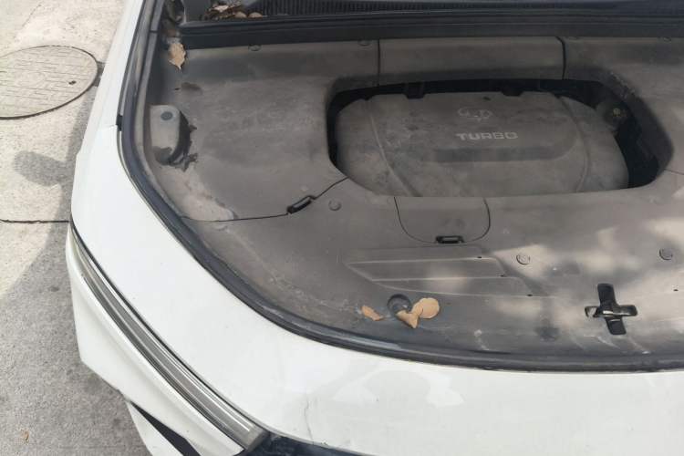Used Baojun RS-5 2019 1.5T CVT Super Connected Trendy Edition China VI Engine Bay Right