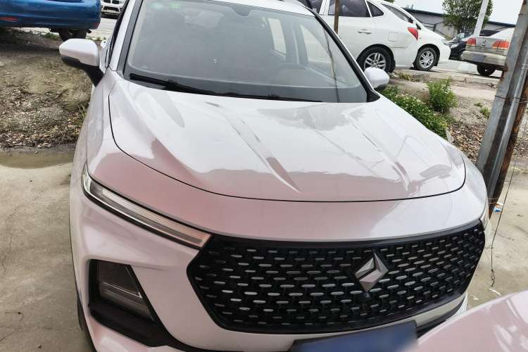 Used Baojun RS-5 2019 1.5T CVT Intelligent Driving Luxury Edition China V Exterior 1