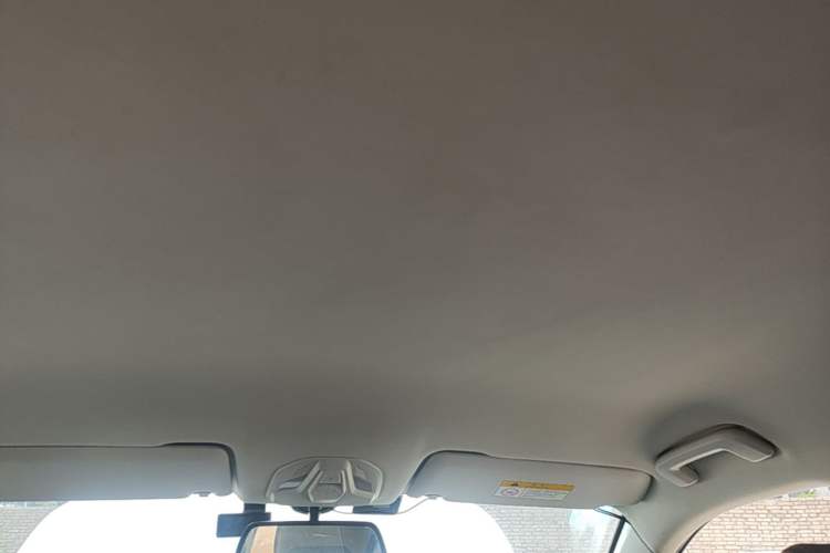 Used Baojun RS-5 2019 1.5T Manual Super Connectivity Version China VI Headliner