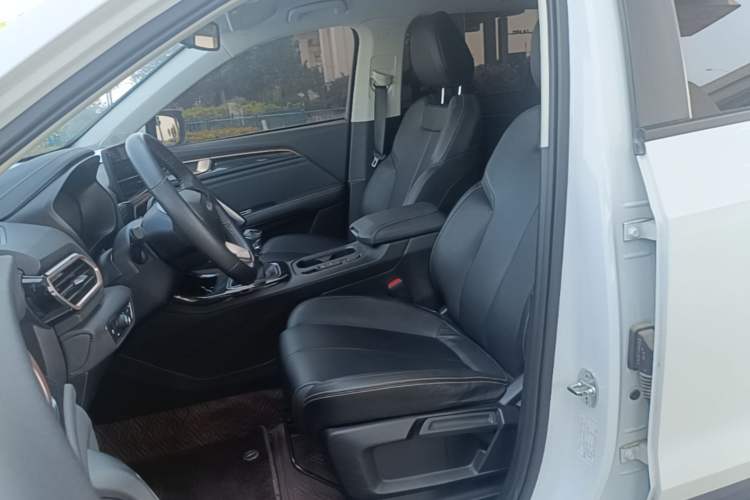 Used Baojun RS-5 2019 1.5T Manual Super Connected Luxury Edition China VI Left Front Seat