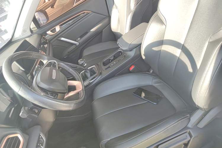 Used Baojun RS-5 2019 1.5T Manual Super Connected Luxury Edition China VI Left Front Seat