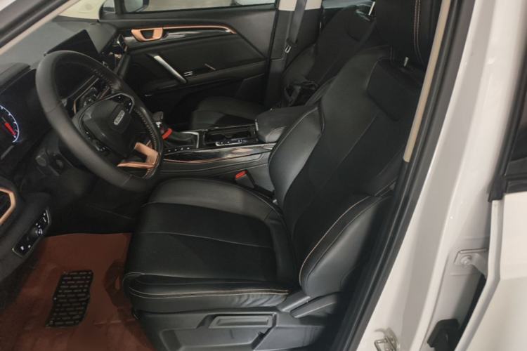 Used Baojun RS-5 2019 1.5T CVT Intelligent Drive Luxury Edition China VI Left Front Seat